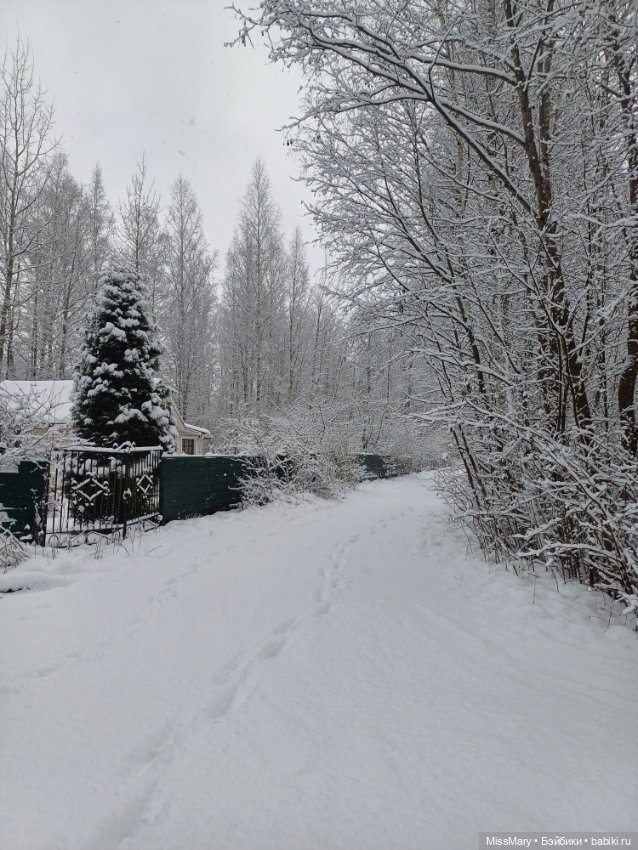 Волшебница зима — Красивая природа и цветы: фото пейзажей (фото 10)
