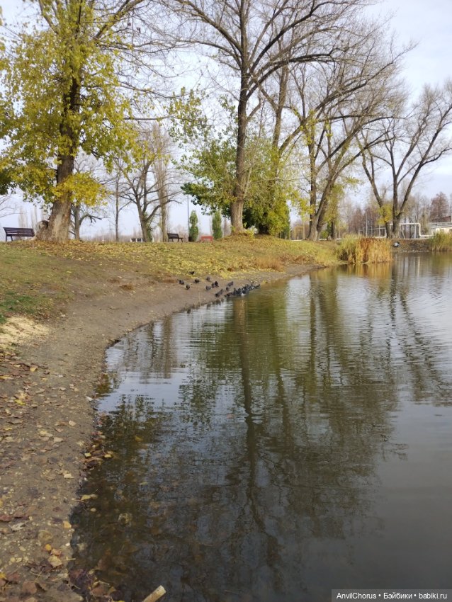 Не по погоде — Аналоги Барби и куклы 1/6: клоны 90