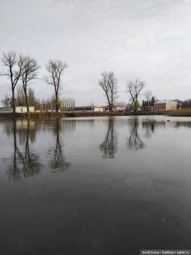 Не по погоде — Аналоги Барби и куклы 1/6: клоны 90