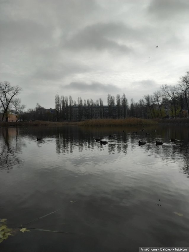 Не по погоде — Аналоги Барби и куклы 1/6: клоны 90