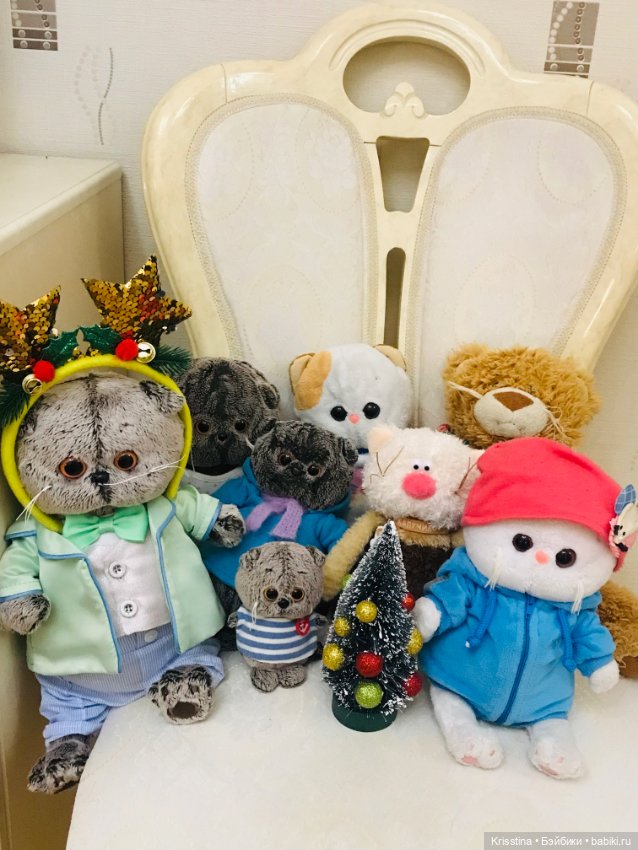 Семейка — Кот Басик