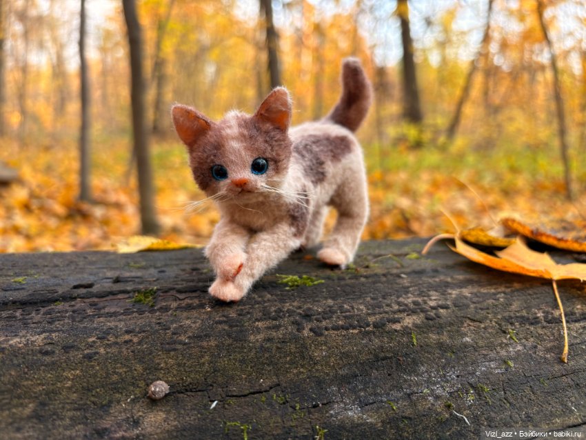 Запоздалые осенние деньки (фото 10)