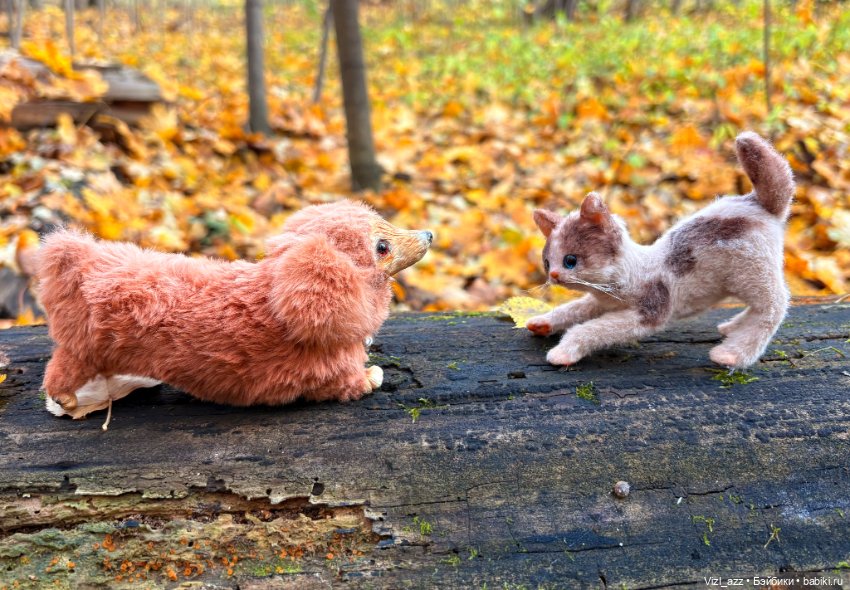 Запоздалые осенние деньки (фото 9)