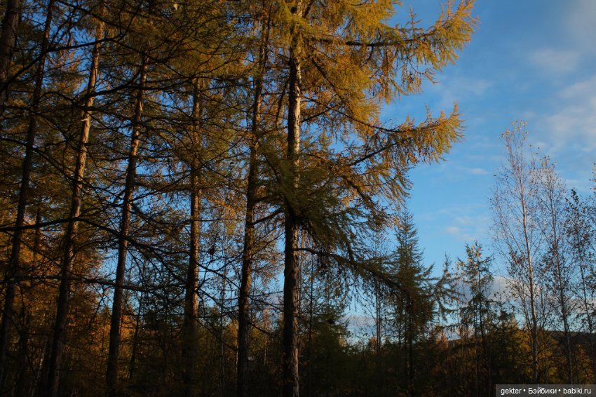 🌾𝓜𝓲𝓬𝓱𝓪𝓮𝓵🌾 — Куклы 5th Motif: корейские BJD (БЖД)