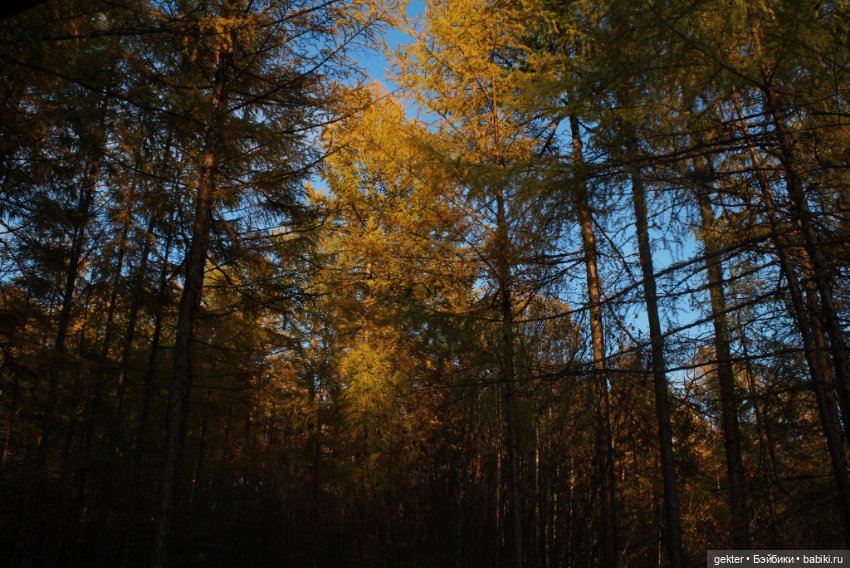 🌾𝓜𝓲𝓬𝓱𝓪𝓮𝓵🌾 — Куклы 5th Motif: корейские BJD (БЖД)