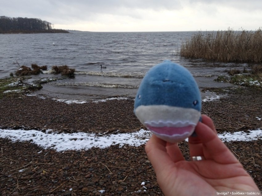 20 лет моему первому блогу (фото 2)