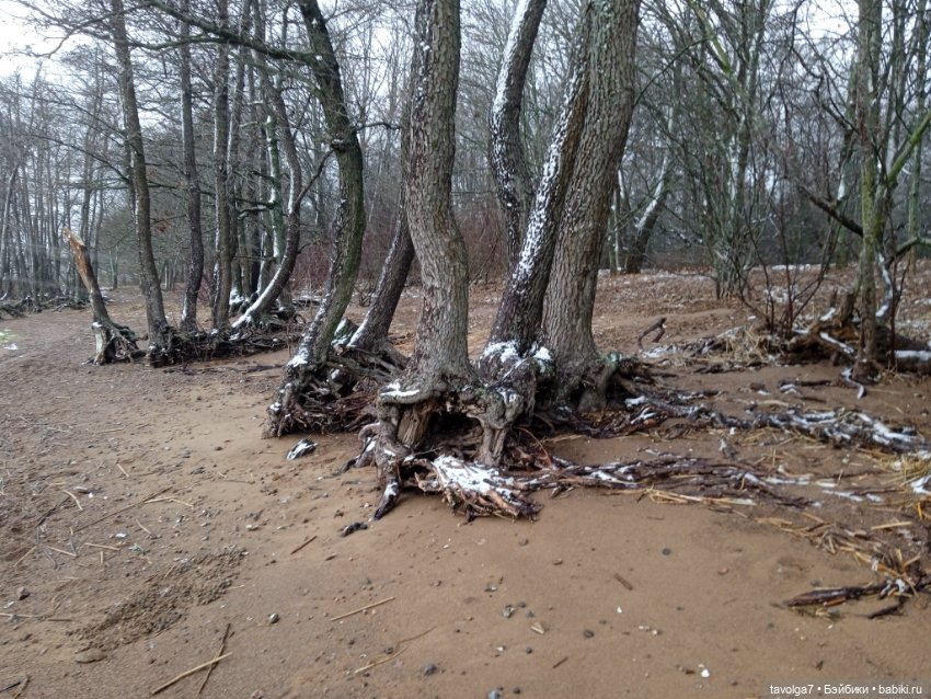 20 лет моему первому блогу