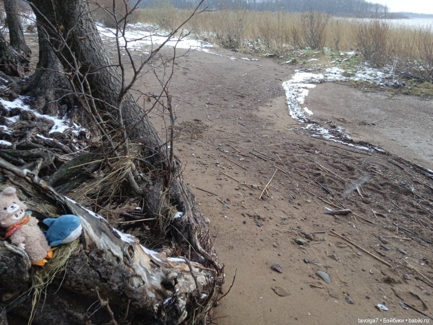 20 лет моему первому блогу