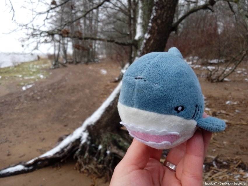 20 лет моему первому блогу (фото 3)