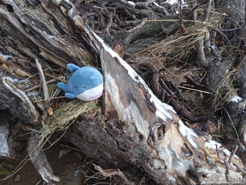 20 лет моему первому блогу (фото 9)