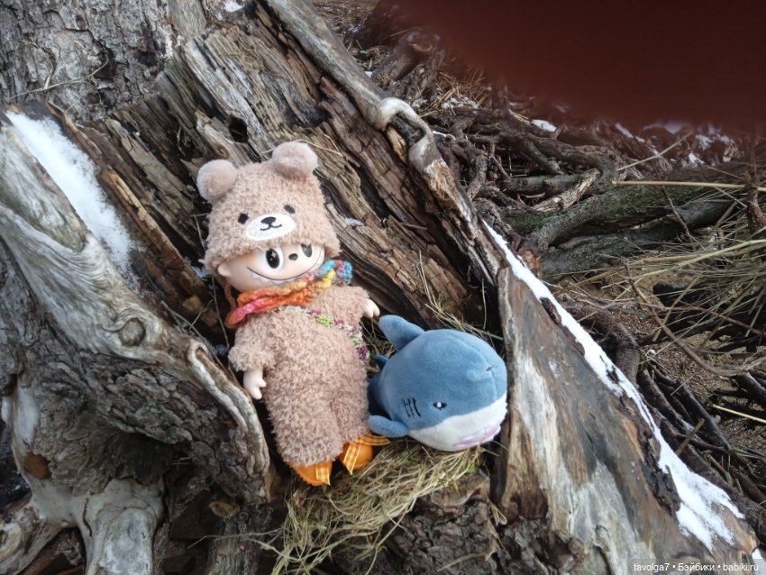 20 лет моему первому блогу (фото 10)