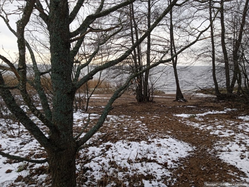 20 лет моему первому блогу