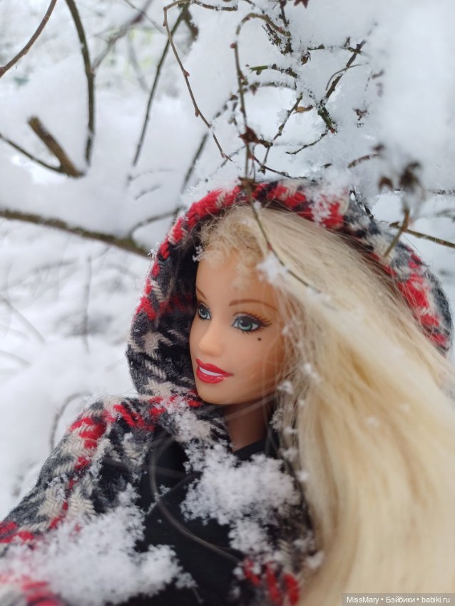 Снежана и снег❄️ — Куклы Barbie (Барби): Looks (фото 3)