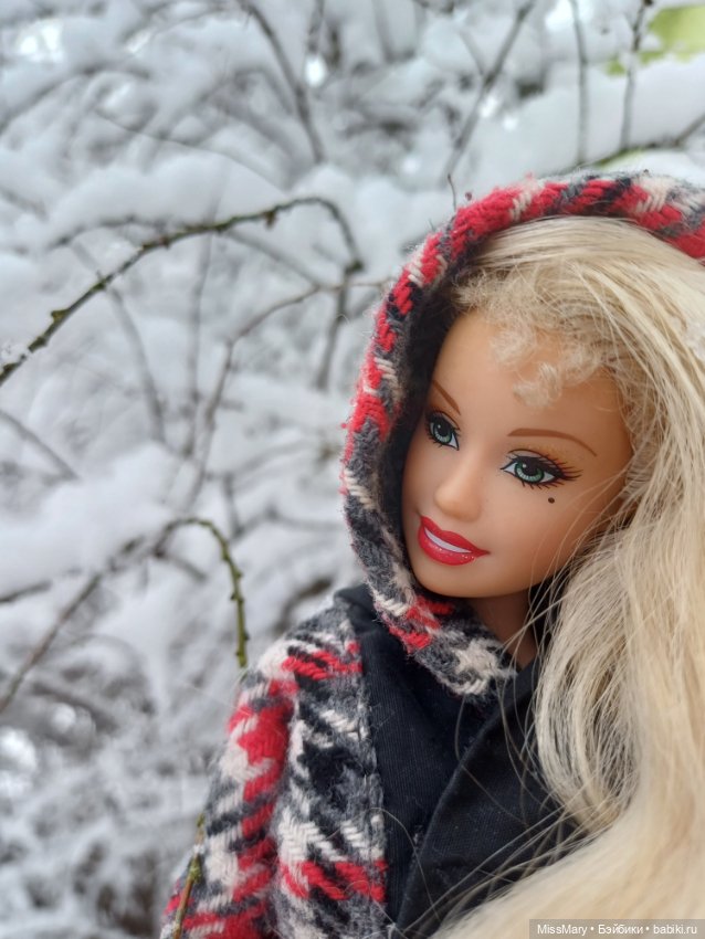 Снежана и снег❄️ — Куклы Barbie (Барби): Looks (фото 6)