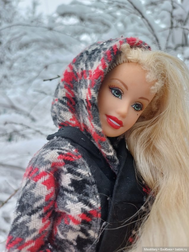 Снежана и снег❄️ — Куклы Barbie (Барби): Looks (фото 7)