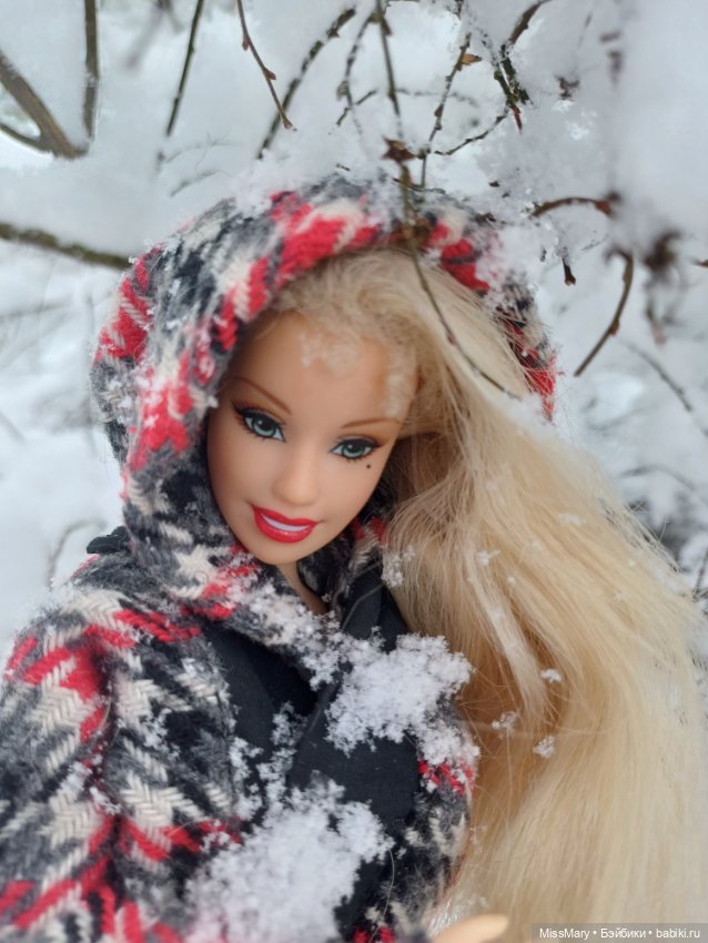 Снежана и снег❄️ — Куклы Barbie (Барби): Looks (фото 2)
