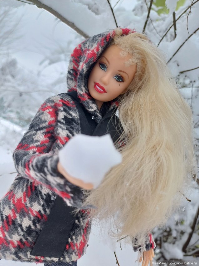 Снежана и снег❄️ — Куклы Barbie (Барби): Looks (фото 5)