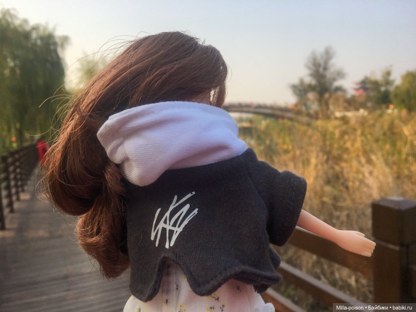 Лила и Licca — Игровые куклы разных производителей (Разное): редкие бренды