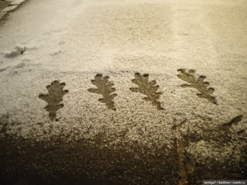 Под Lil Bratz в Питере - 2