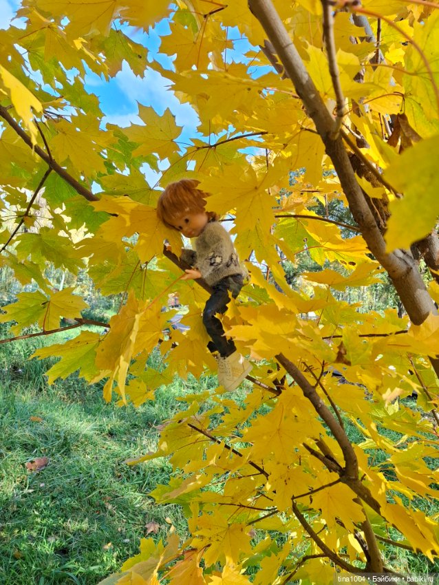 ИЗ ЖИЗНИ КУКОЛ Как запустить воздушного змея