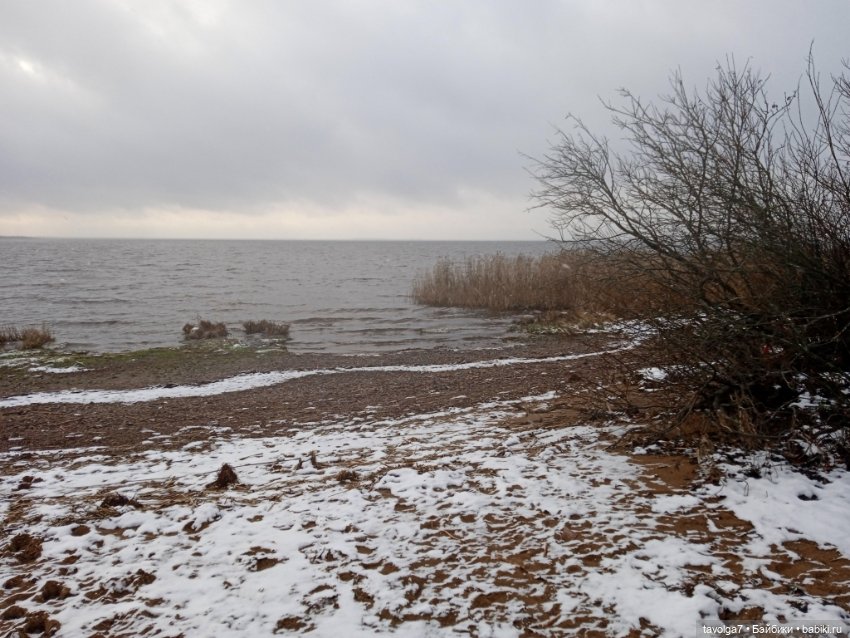 Под Lil Bratz в Питере - 2