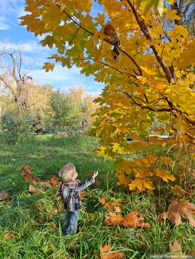 ИЗ ЖИЗНИ КУКОЛ Как запустить воздушного змея (фото 2)