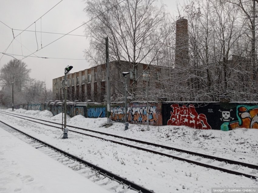 Под Lil Bratz в Питере - 2 (фото 8)