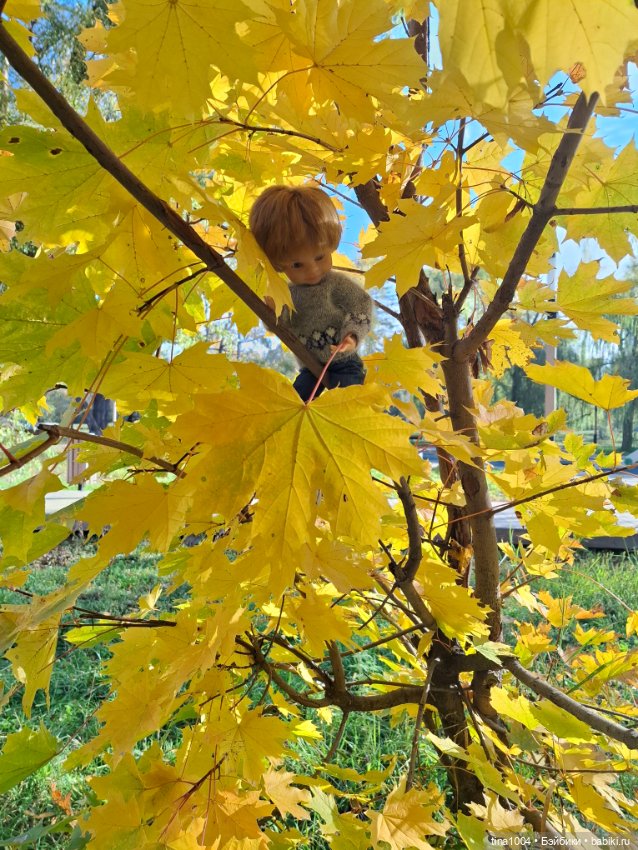 ИЗ ЖИЗНИ КУКОЛ Как запустить воздушного змея (фото 3)