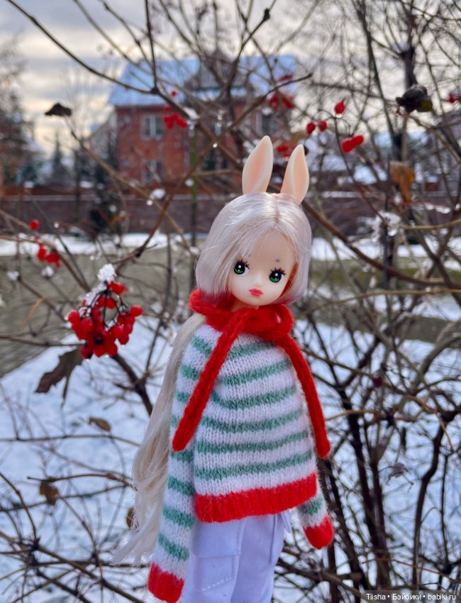 Одним прекрасным снежным днём