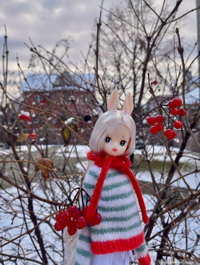 Одним прекрасным снежным днём