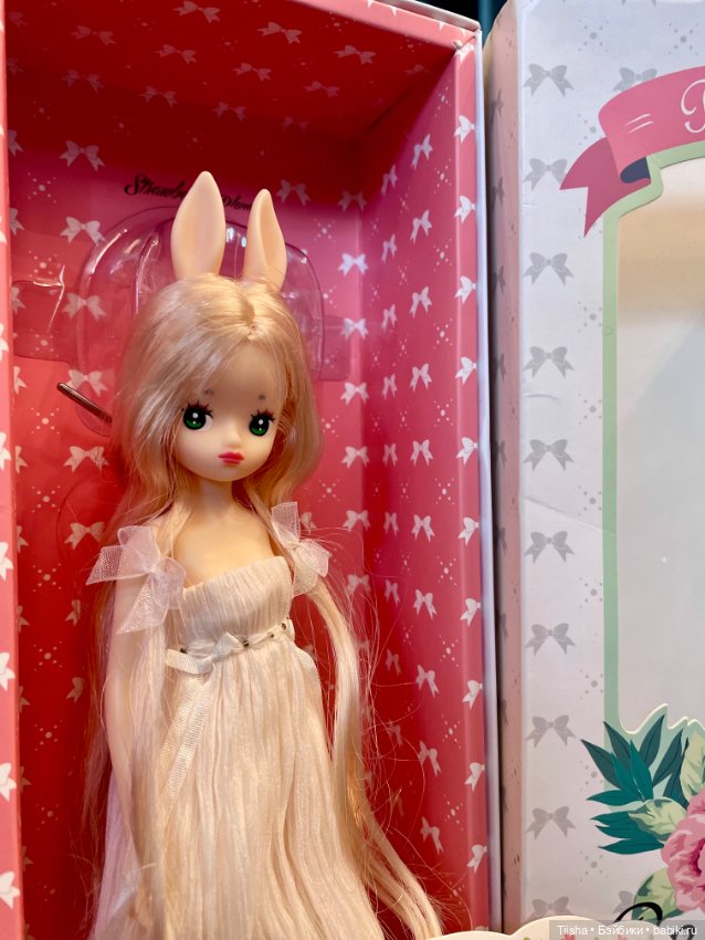 Redberry Boboli — Куклы Strawberry Planet: Redberry (фото 3)