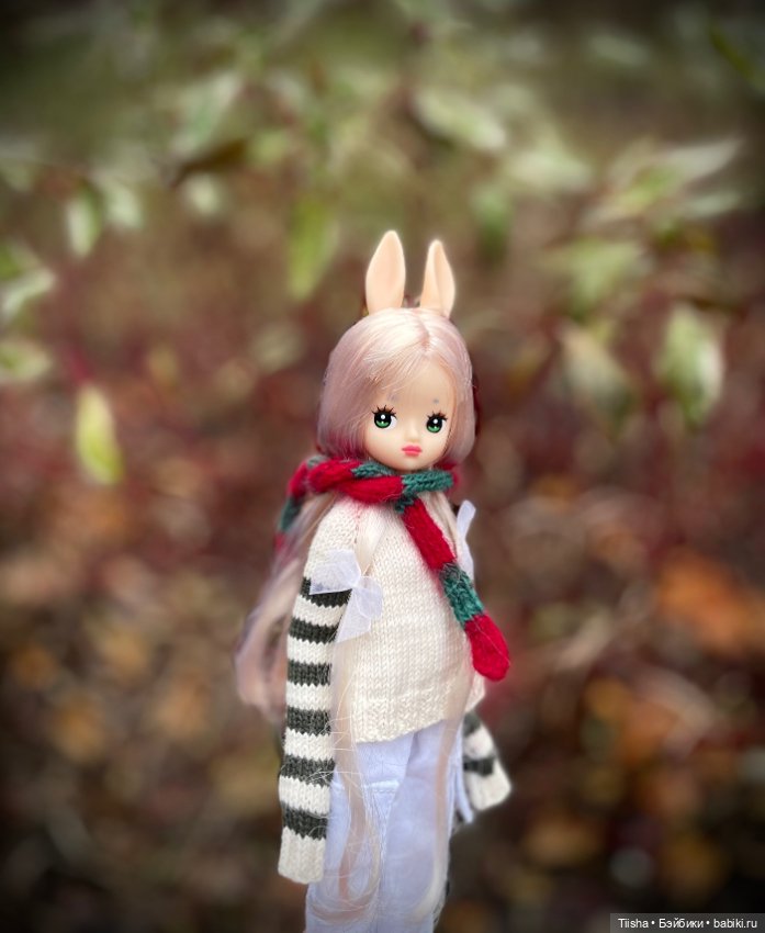 Redberry Boboli — Куклы Strawberry Planet: Redberry (фото 10)