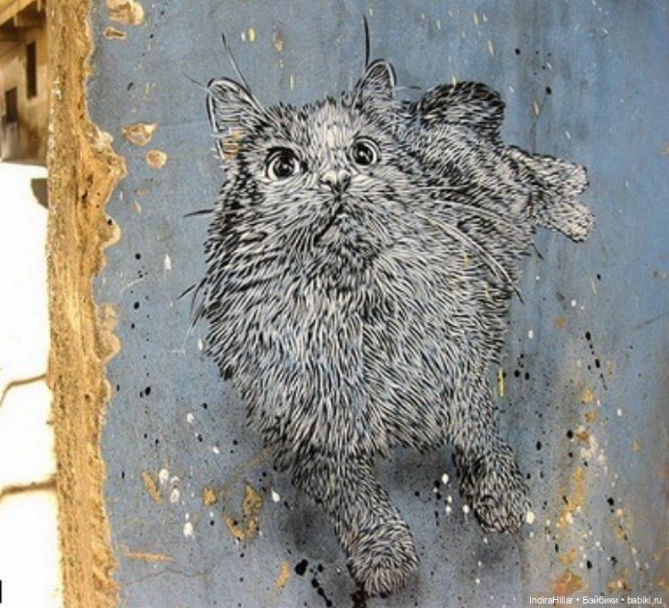 Трафаретный стрит-арт французского художника C215 (Christian Guémy) (фото 8)