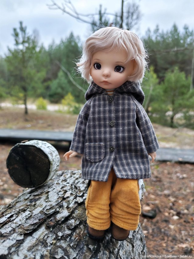 Последний шелест осени — Авторские куклы BJD (БЖД) у нас дома: фото (фото 7)