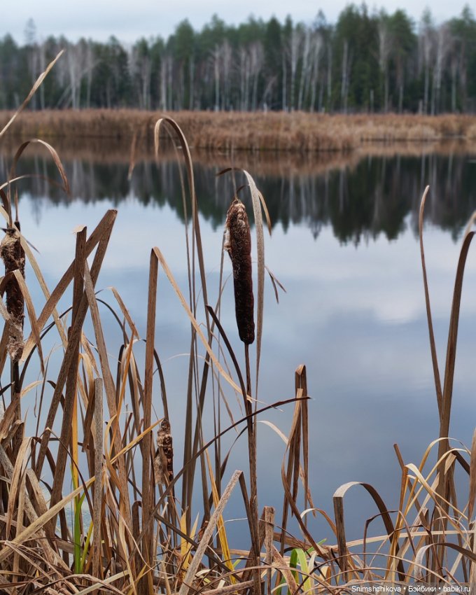 Последний шелест осени — Авторские куклы BJD (БЖД) у нас дома: фото