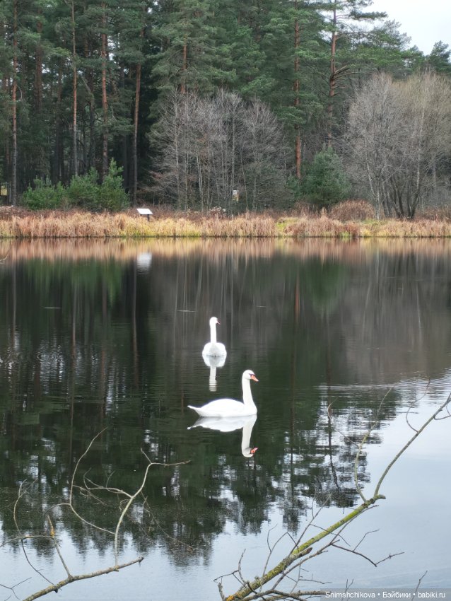 Последний шелест осени — Авторские куклы BJD (БЖД) у нас дома: фото (фото 9)