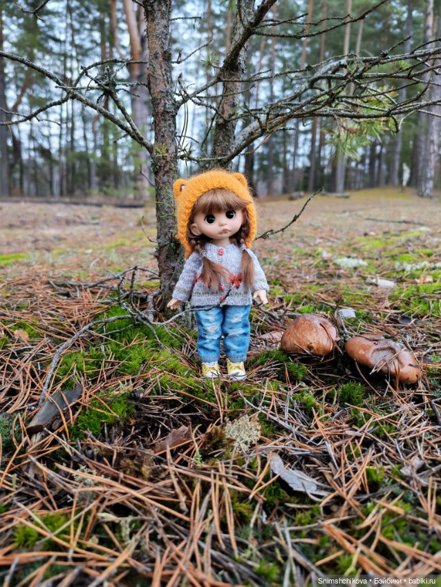 Грибной ноябрь — Авторские куклы BJD (БЖД) у нас дома: фото (фото 2)