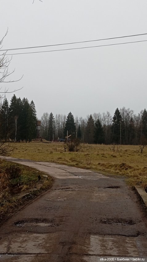 Из лесу ёлочку взяли мы домой (фото 2)