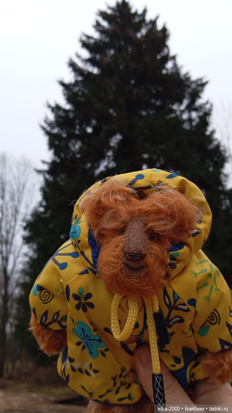 Из лесу ёлочку взяли мы домой (фото 4)