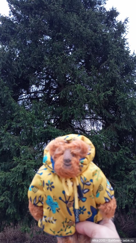 Из лесу ёлочку взяли мы домой (фото 5)