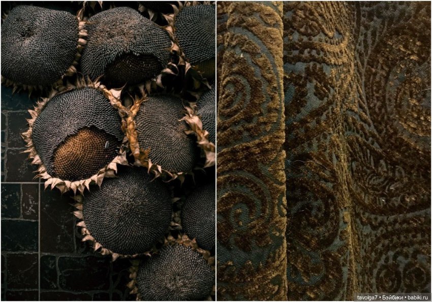 Ноябрь - цвет, фактура, бархат