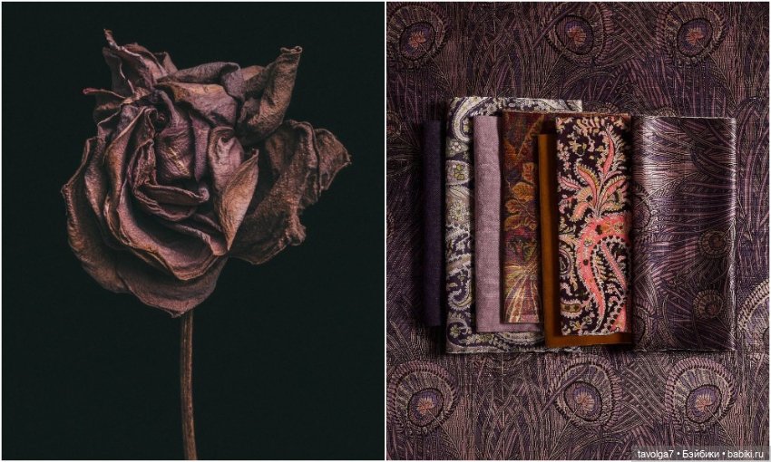 Ноябрь - цвет, фактура, бархат