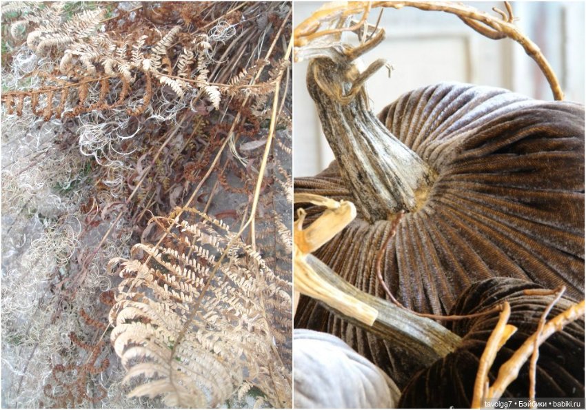 Ноябрь - цвет, фактура, бархат (фото 2)