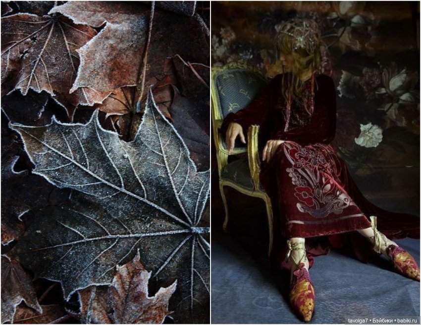 Ноябрь - цвет, фактура, бархат