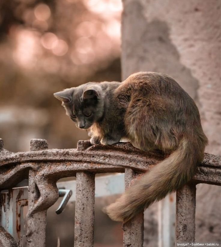 Ноябрь - цвет, фактура, бархат