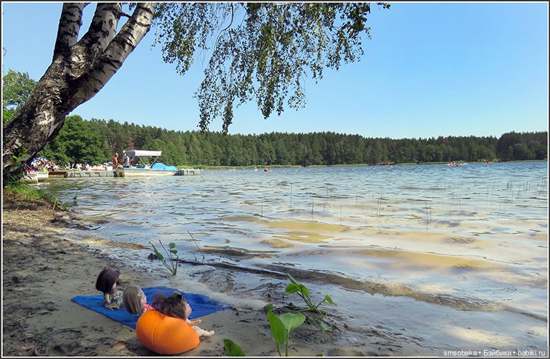 У меня сегодня дата 14 лет на Бейбиках! Воспоминание о лете. Часть 1