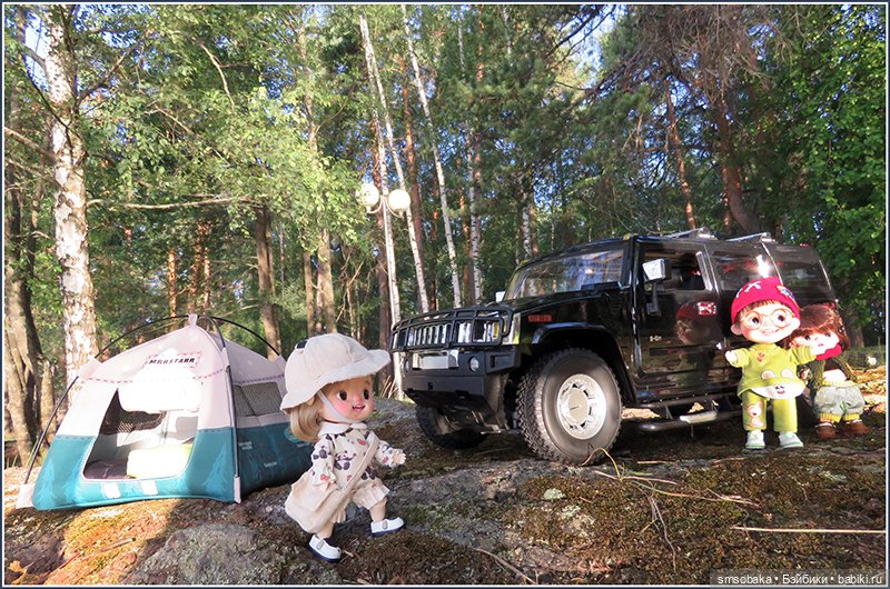 У меня сегодня дата 14 лет на Бейбиках! Воспоминание о лете. Часть 1