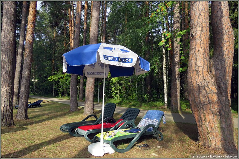 У меня сегодня дата 14 лет на Бейбиках! Воспоминание о лете. Часть 1