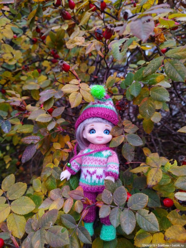 Вот и осень на исходе — Куклы Baboliy (Баболи (фото 5)