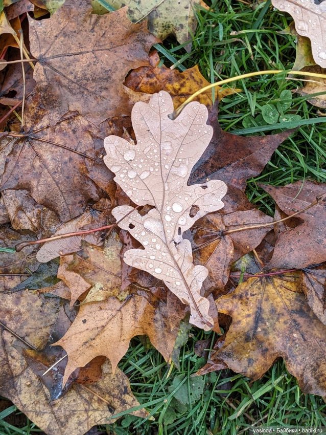 Осенние прогулки — Азиатские виниловые куклы (разное): Китай